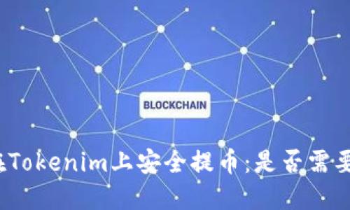 如何在Tokenim上安全提币：是否需要密钥？
