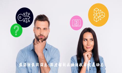 盛源链最新消息：深度解析区块链技术发展动态
