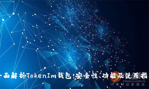 全面解析TokenIm钱包：安全性、功能及使用指南