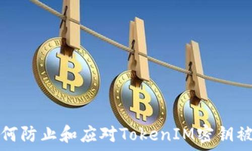   
如何防止和应对TokenIM密钥被盗