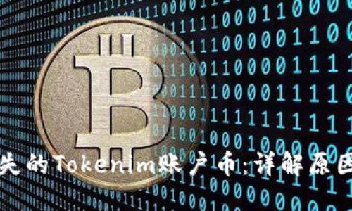 如何找回丢失的Tokenim账户币：详解原因与解决方法