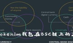全面解析Tokenim钱包在BSC链
