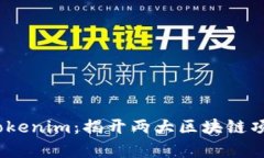 Mgctoken与Tokenim：揭开两大