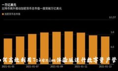如何高效利用Tokenim体验版