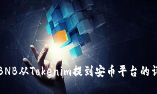 如何将BNB从Tokenim提到安币平台的详细指南