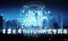 苹果使用Tokenim的完整指南