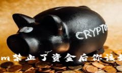 在Tokenim禁止了资金后你该如何应对？