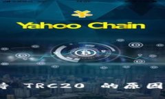 Tokenim 不支持 TRC20 的原因及解决方案解析