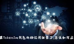 如果TokenIm钱包的助记词泄