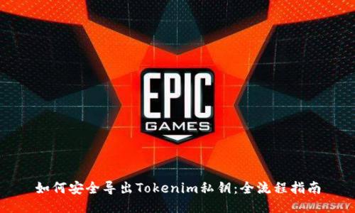 如何安全导出Tokenim私钥：全流程指南