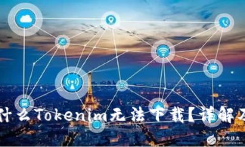 ### 为什么Tokenim无法下载？详解及解决方案