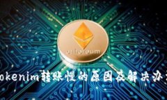 Tokenim转账慢的原因及解决办法
