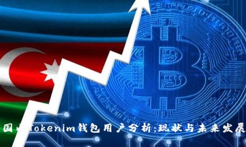 国内Tokenim钱包用户分析：现状与未来发展