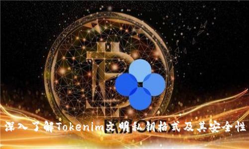 深入了解Tokenim文明私钥格式及其安全性