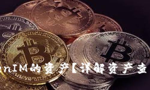 如何查询TokenIM的资产？详解资产查询方法与步骤