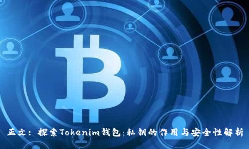 正文: 探索Tokenim钱包：私钥的作用与安全性解析