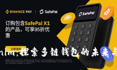 Tokenim：探索多链钱包的未来与优势