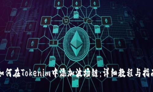 如何在Tokenim中添加波场链：详细教程与指南