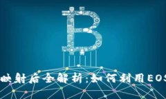 Tokenim EOS映射后全解析：如