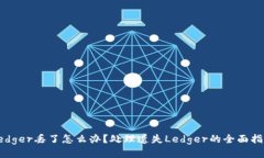 Ledger丢了怎么办？处理遗