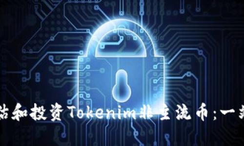 如何评估和投资Tokenim非主流币：一站式指南