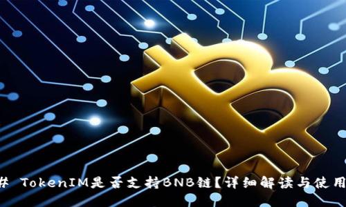### TokenIM是否支持BNB链？详细解读与使用指南