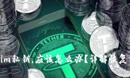 如果忘记Tokenim私钥，应该怎么办？详解恢复方法及注意事项