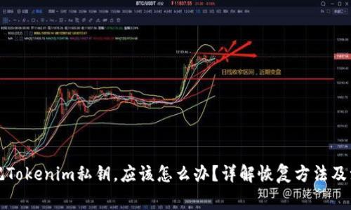 如果忘记Tokenim私钥，应该怎么办？详解恢复方法及注意事项