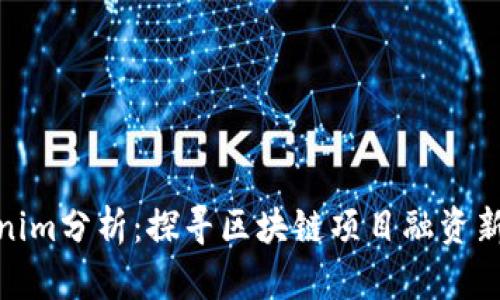 Tokenim分析：探寻区块链项目融资新机会