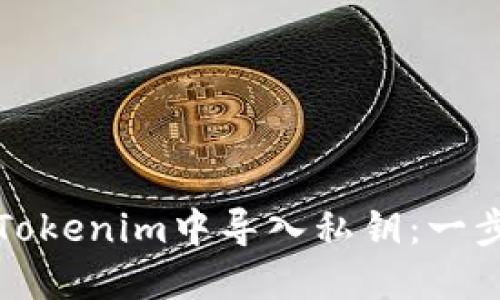 如何在Tokenim中导入私钥：一步步教程