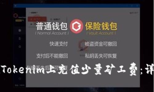 如何在Tokenim上充值少量矿工费：详细指南