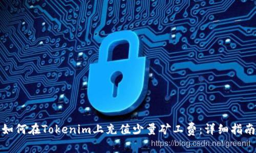 如何在Tokenim上充值少量矿工费：详细指南